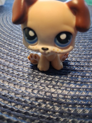 Vintage littlest pet shop