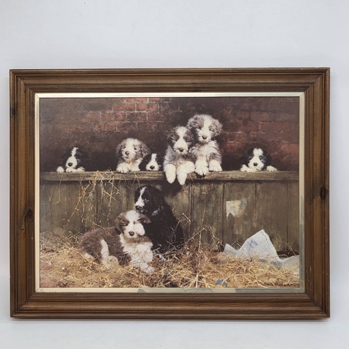 David shepherd muffin pups - shepherd,