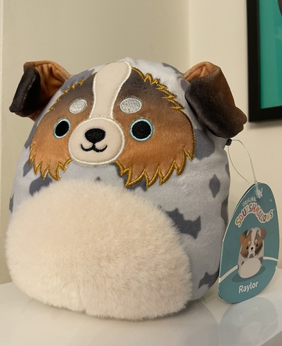 Australian shepherd - australian,
