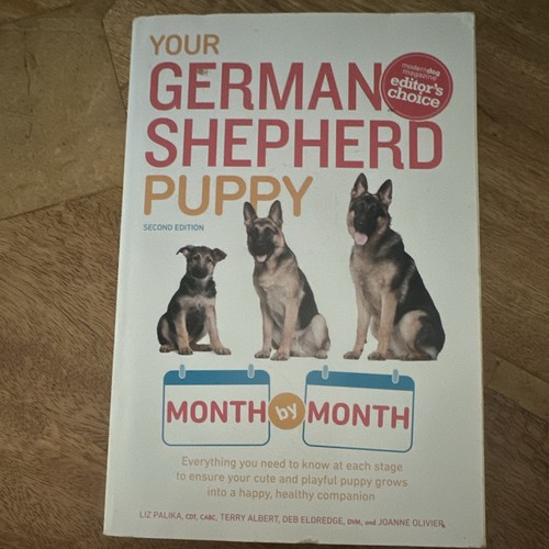 Your german shepherd puppy - your,