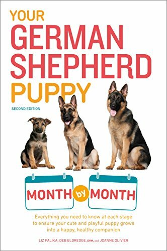 Your german shepherd puppy - your,