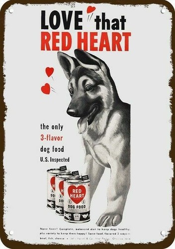 1950 german shepherd - german, puppy