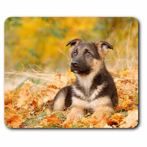 Computer mouse mat german - computer,