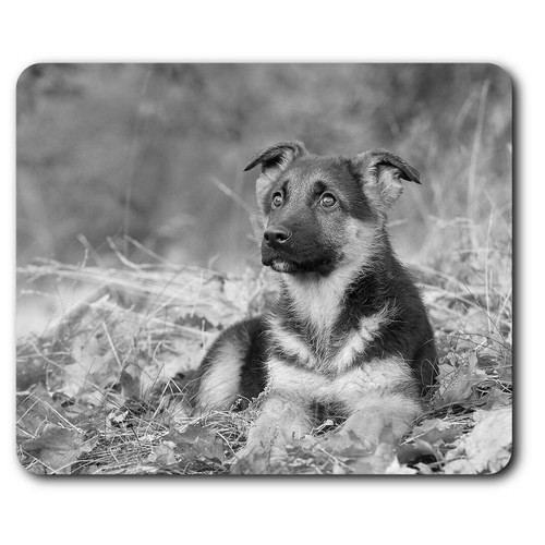 Rectangle mouse mat - mouse, bw