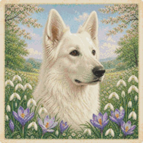 White swiss shepherd puppy dog - puppy,