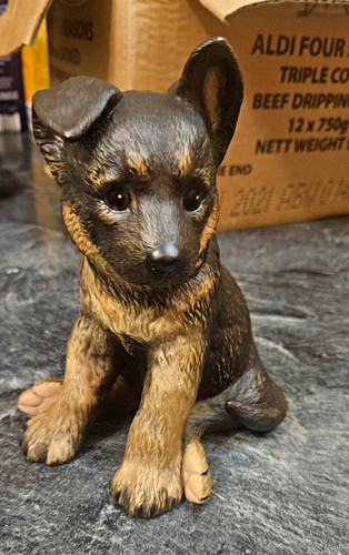 Lenox german shepherd - lenox,