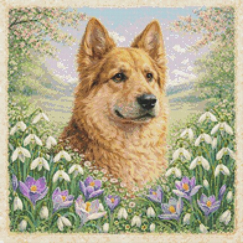 Golden shepherd puppy dog - golden,