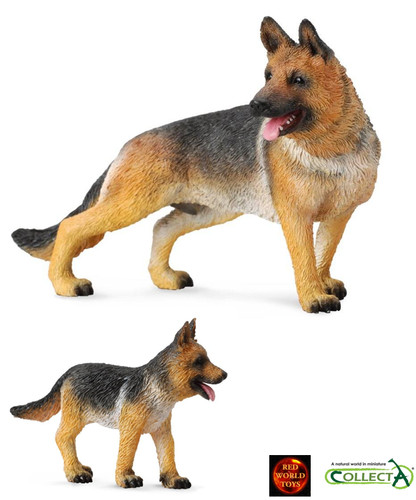 German shepherd dog and - german,