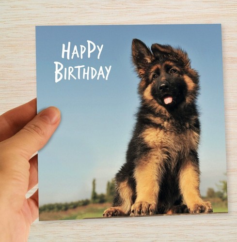 German shepherd birthday card - birthday,