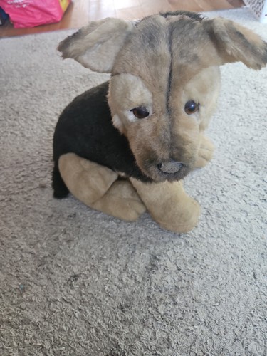 Avanti german shepherd - shepherd, puppy