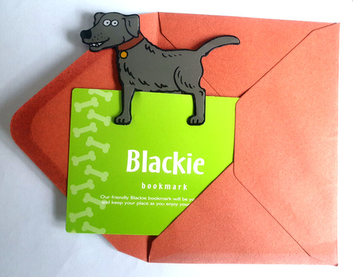 Funny blackie black - funny, labrador