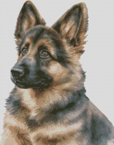 Complete counted cross - counted, stitch