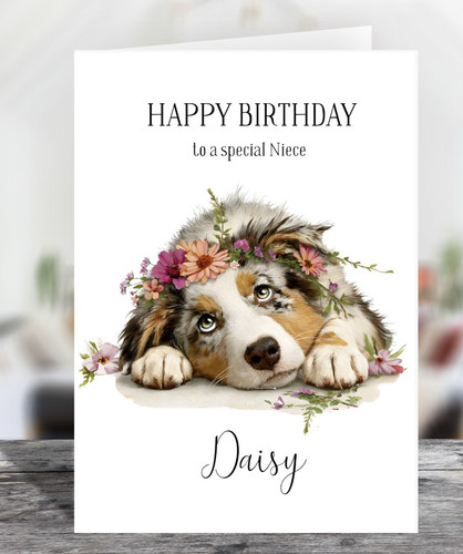 Australian shepherd puppy - shepherd,
