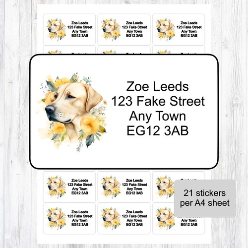 Yellow labrador shepherd - yellow,
