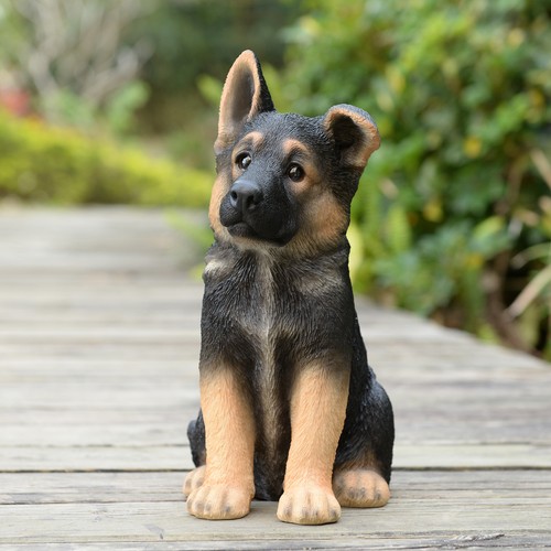 Puppy german shepherd - puppy,