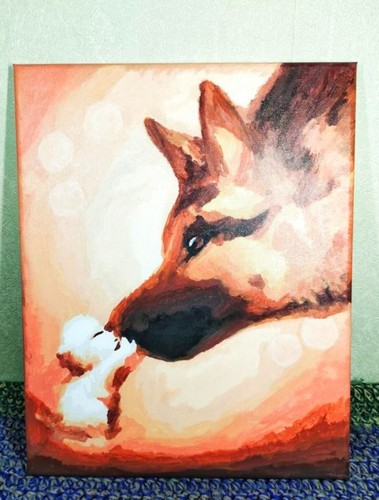 German shepherd white puppy - shepherd, &