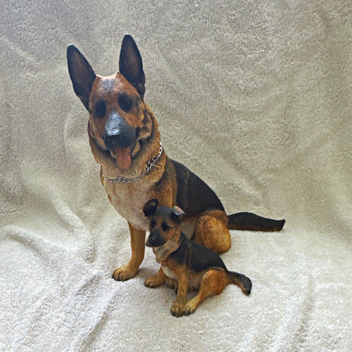 Alsatian german shepherd - alsatian/german, dog