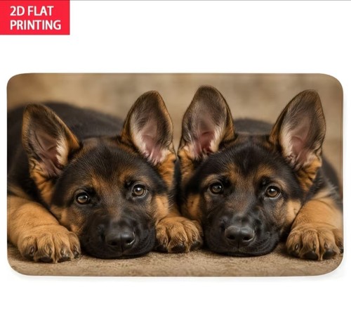 Gorgeous german shepherd - gorgeous, dog