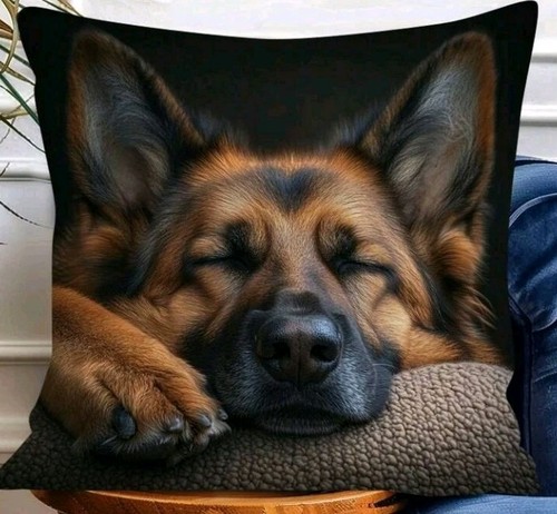 German shepherd puppy dog - puppy,